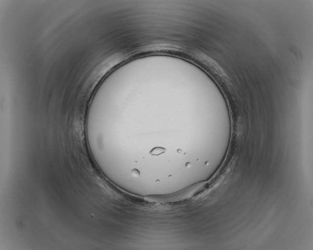 X0000113531321200910161341