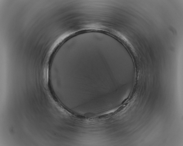 X0000113531323200910161341