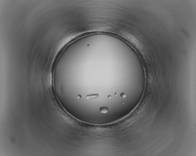 X0000113531324200910161341