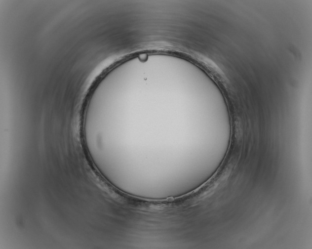 X0000113531326200910161341