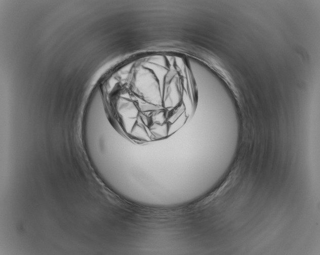 X0000113531328200910161341