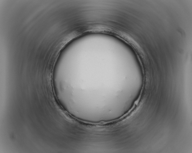 X0000113531329200910161341