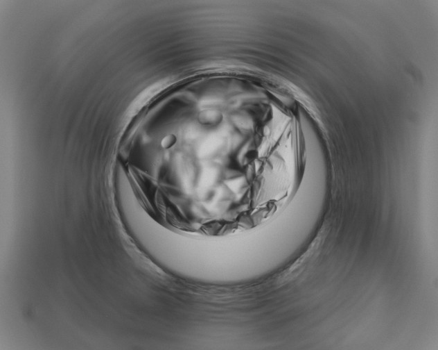 X0000113531330200910161341