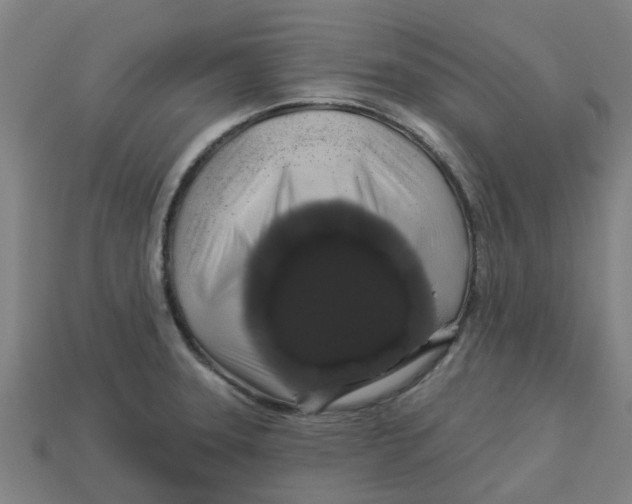 X0000113531331200910161341