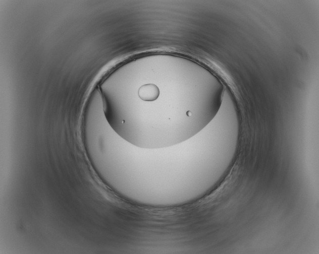 X0000113531332200910161341