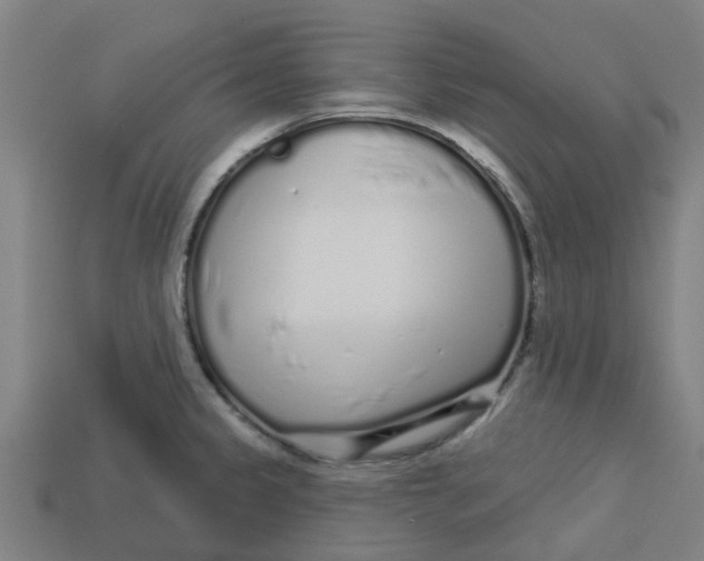 X0000113531333200910161341