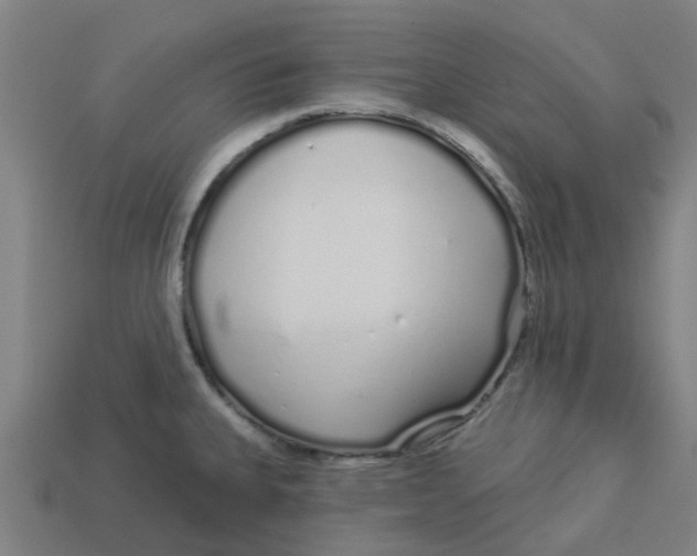 X0000113531335200910161341