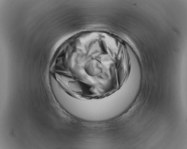 X0000113531336200910161341