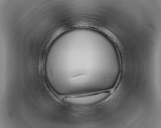 X0000113531337200910161341