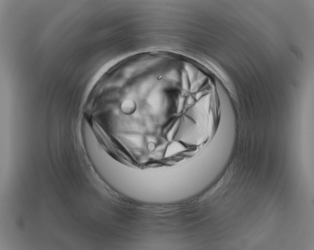 X0000113531340200910161341