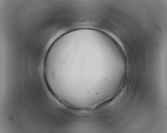 X0000113531341200910161341