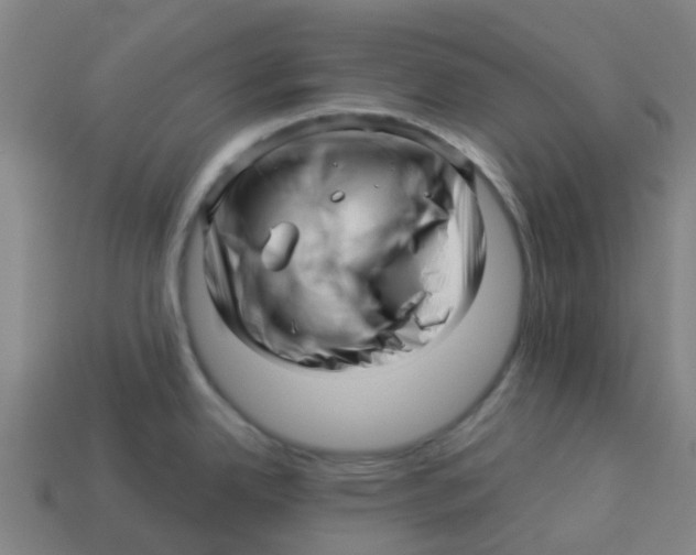 X0000113531342200910161341