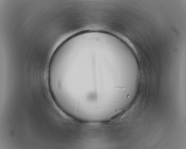 X0000113531343200910161341