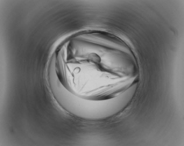 X0000113531344200910161341