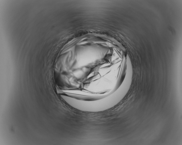 X0000113531345200910161340