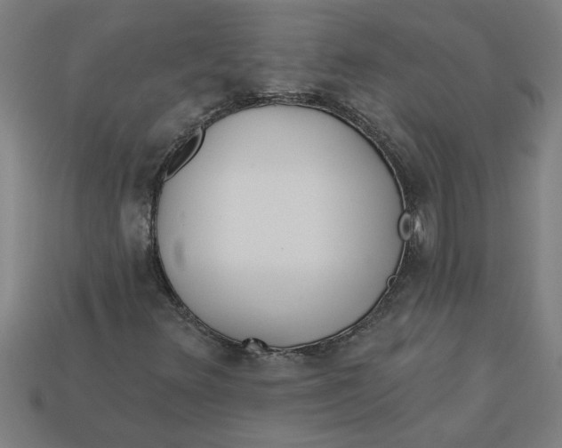 X0000113531348200910161340