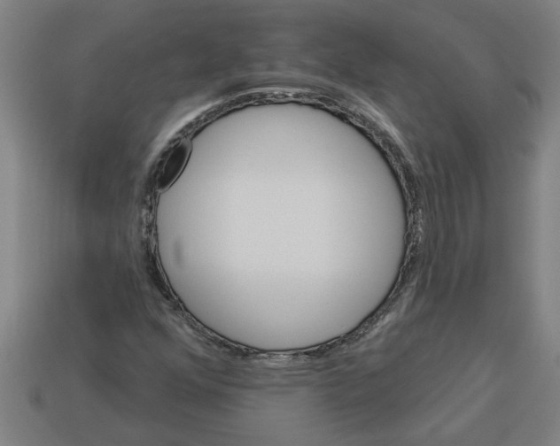 X0000113531352200910161340