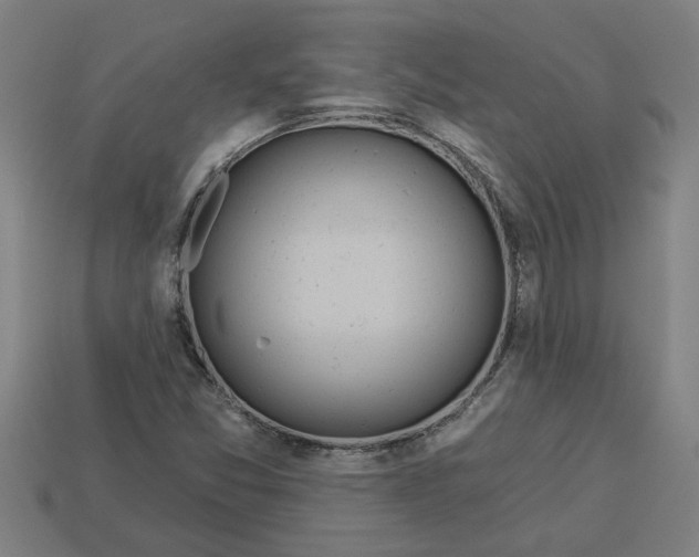 X0000113531357200910161340