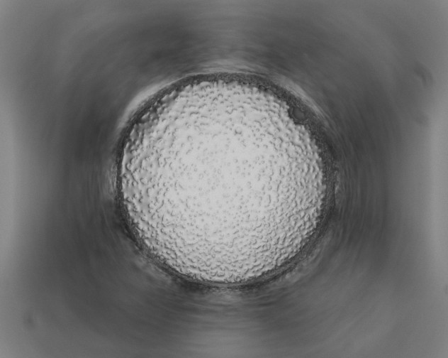 X0000113531358200910161340