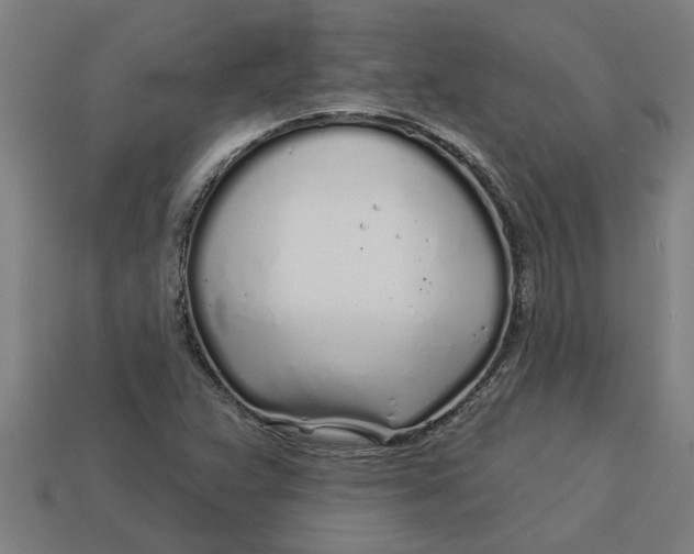 X0000113531359200910161340