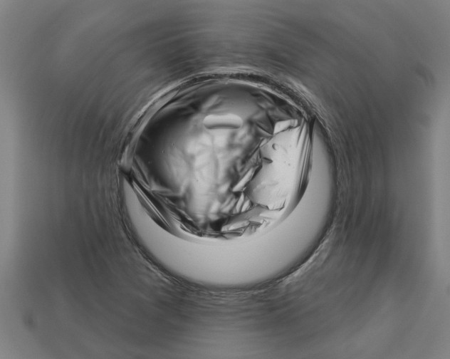 X0000113531361200910161340