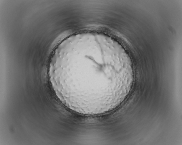 X0000113531362200910161340