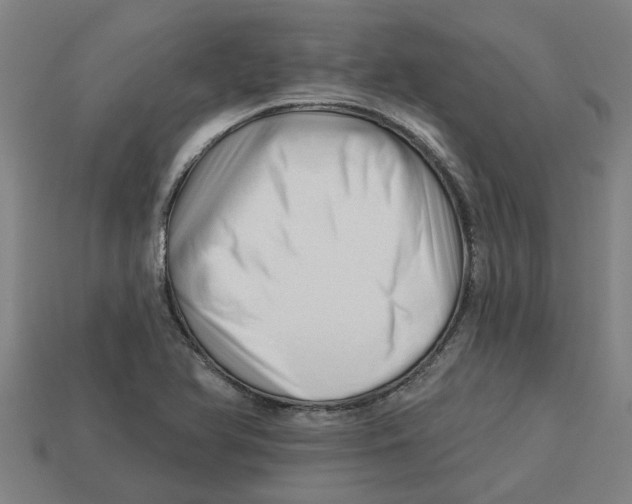 X0000113531366200910161340