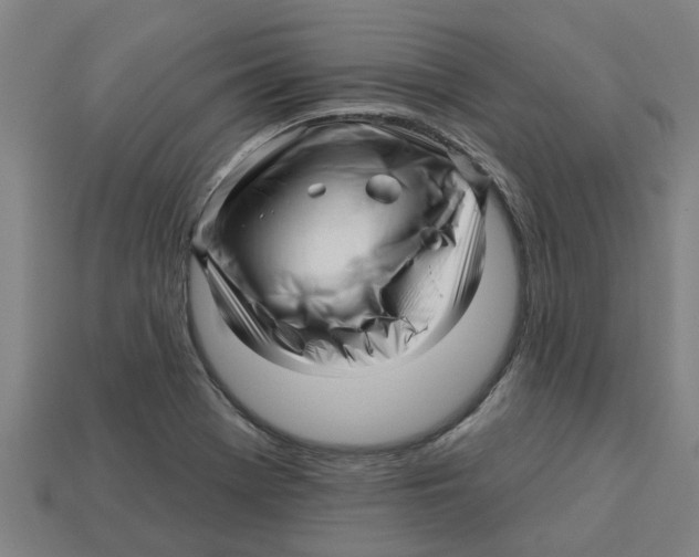 X0000113531369200910161340