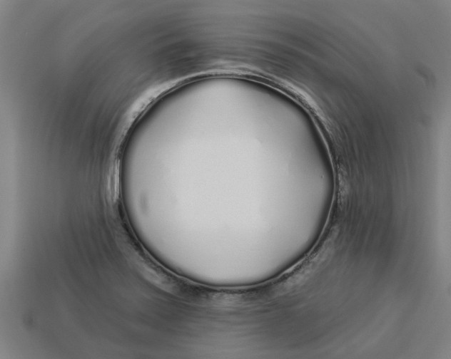 X0000113531371200910161340