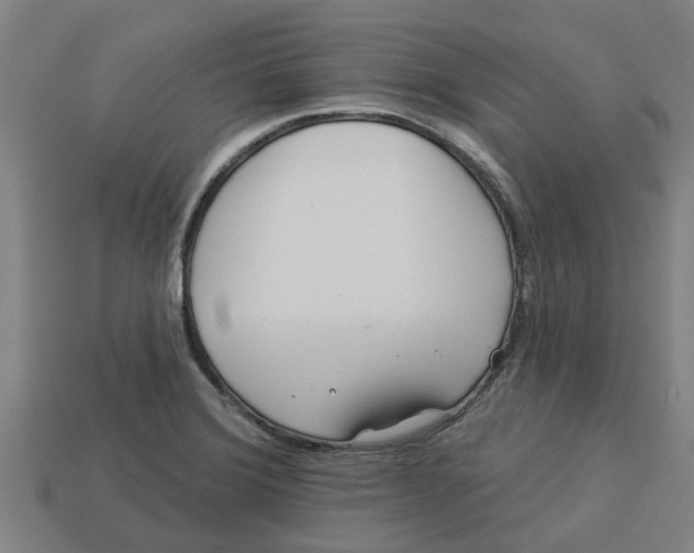 X0000113531372200910161340