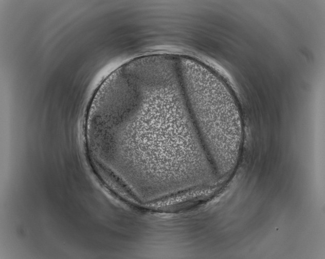 X0000113531373200910161340