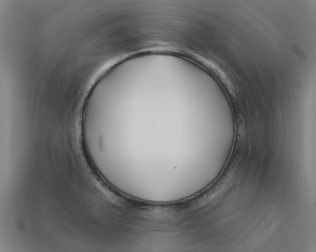 X0000113531375200910161340