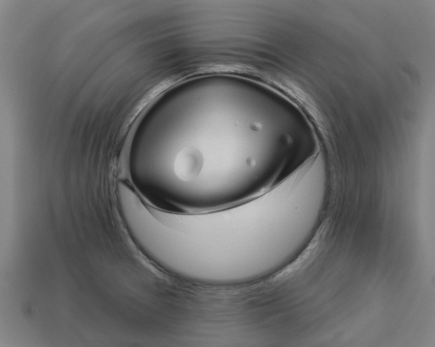 X0000113531377200910161340