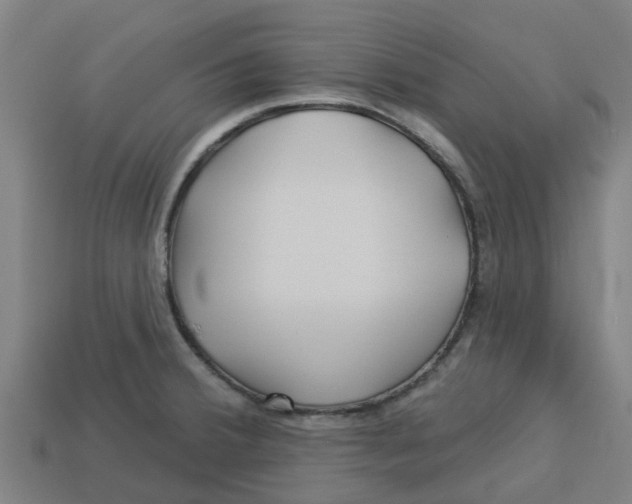 X0000113531380200910161340