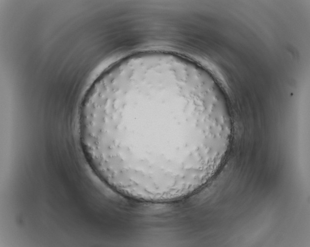 X0000113531382200910161340