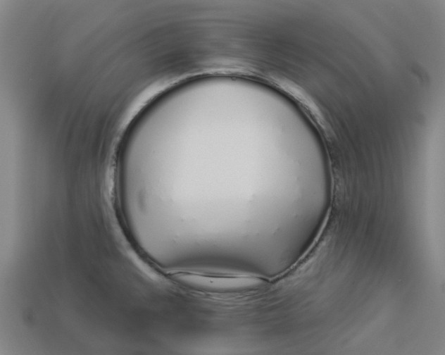 X0000113531383200910161340