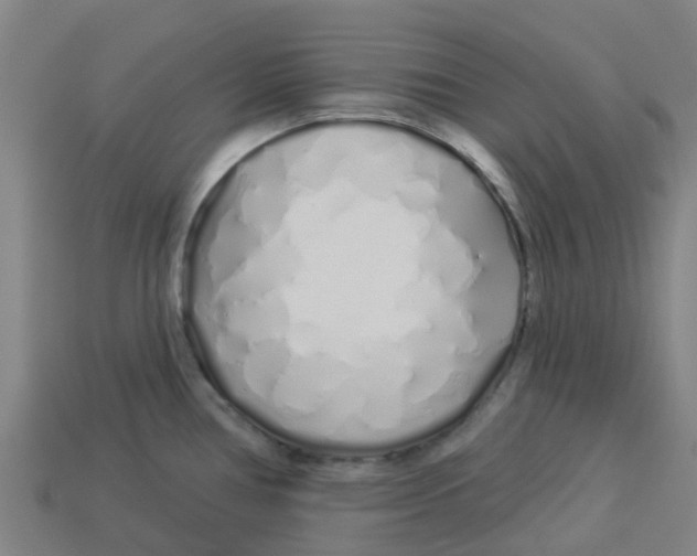 X0000113531386200910161340