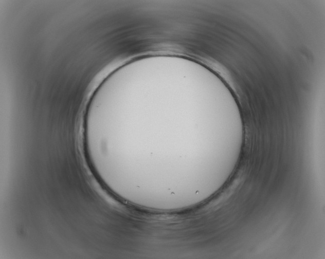 X0000113531387200910161340