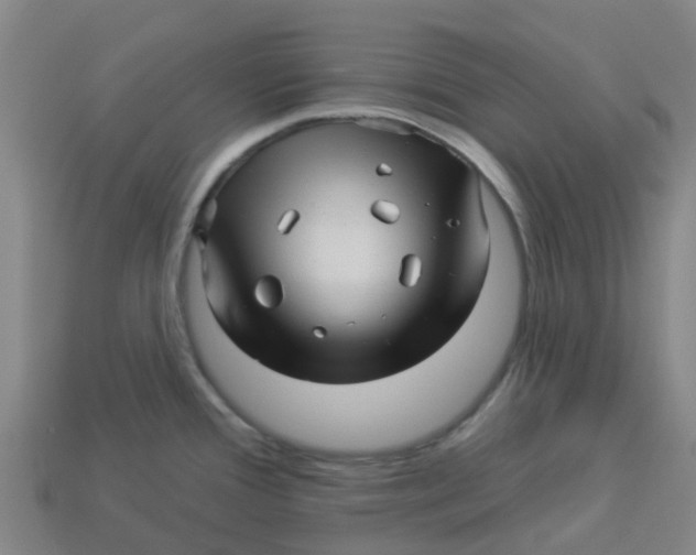 X0000113531388200910161340