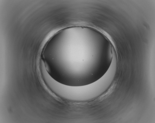 X0000113531389200910161340