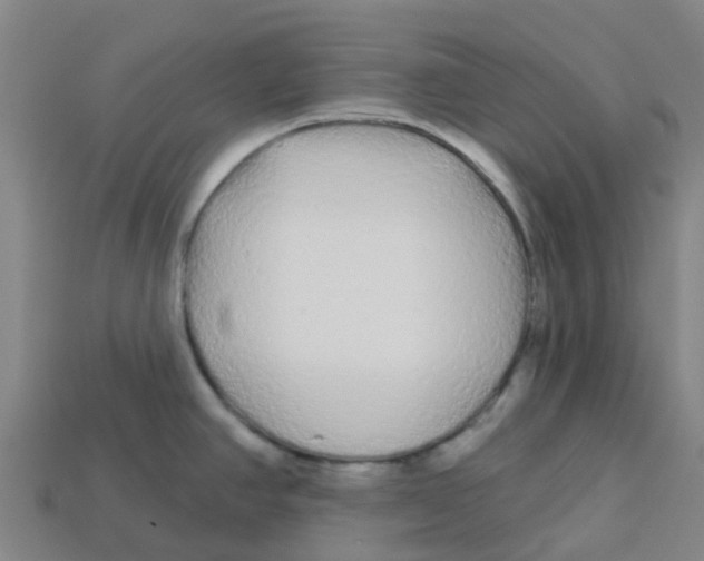 X0000113531390200910161340