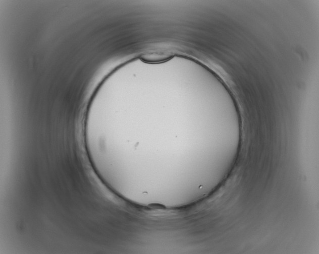 X0000113531392200910161340