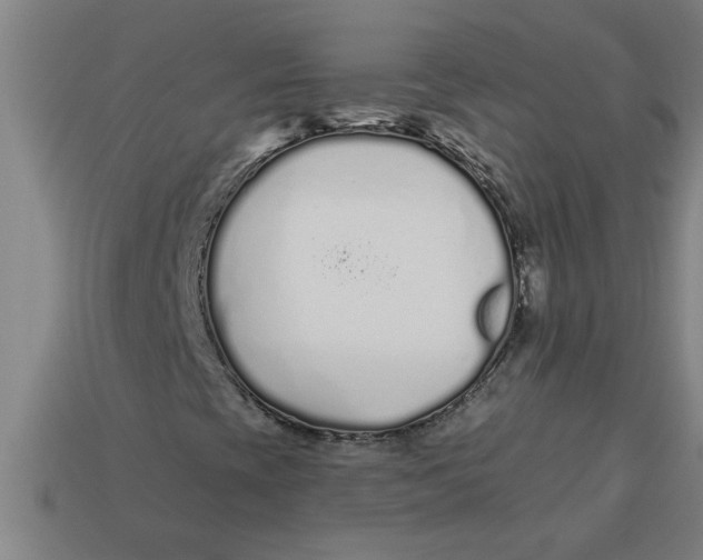 X0000113531393200910161339