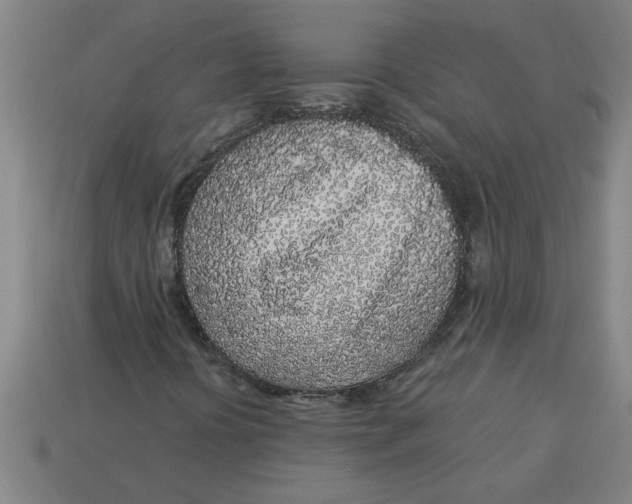 X0000113531394200910161339