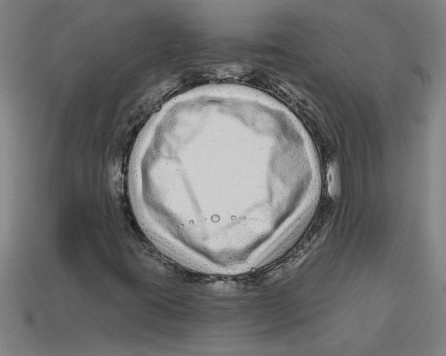 X0000113531395200910161339