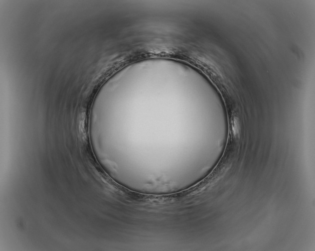 X0000113531396200910161339