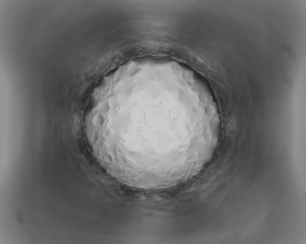 X0000113531397200910161339