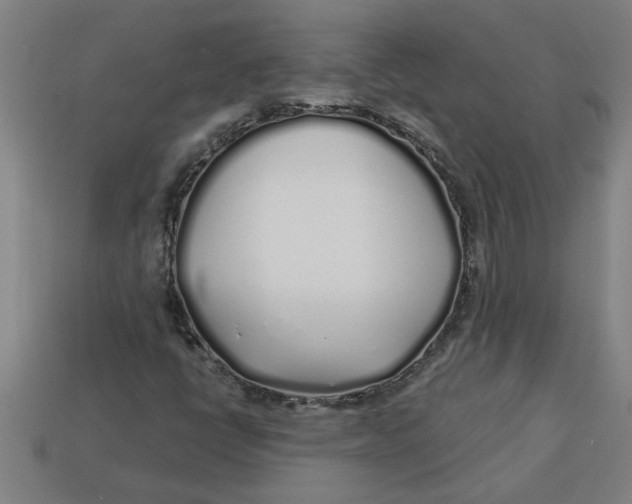 X0000113531398200910161339