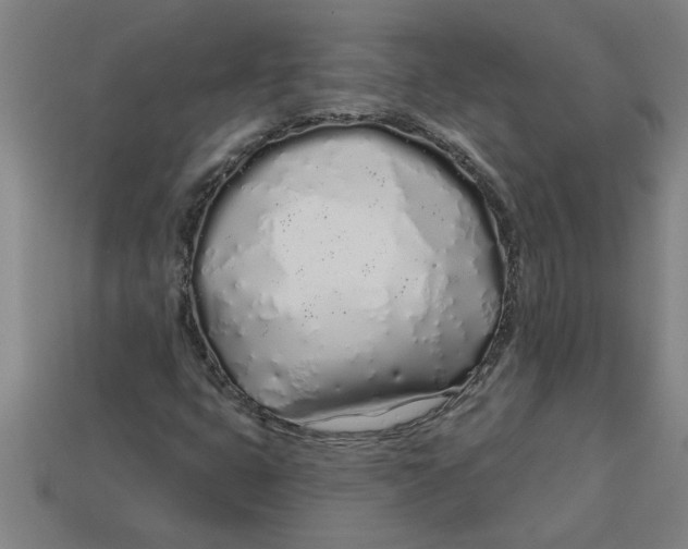 X0000113531399200910161339