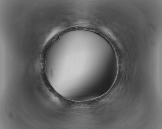 X0000113531400200910161339